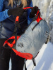 Рюкзак BASK Ski Alp Carrier 25 (Красный/Серый; 25 л)